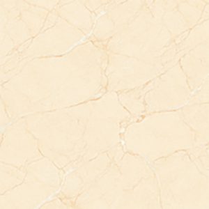 Gạch lát nền Đồng Tâm 60x60 HAIVAN003
