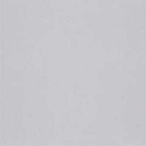 Gạch lát nền Đồng Tâm 60x60 VENUS002