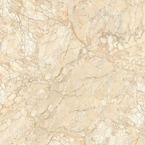 Gạch lát nền Hoàn Mỹ 60x60 1523