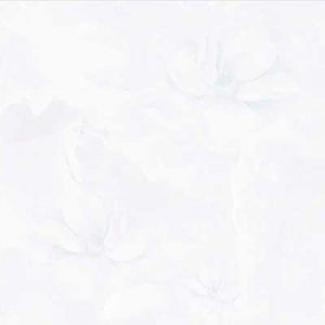 Gạch lát nền Hoàn Mỹ 60x60 6043