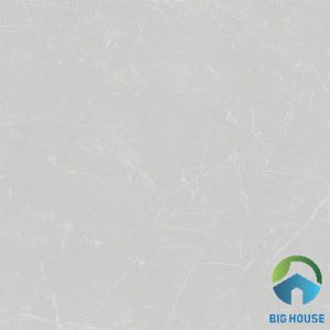 Gạch lát nền Viglacera 60x60 M6005