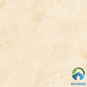 Gạch lát nền Viglacera 60x60 TQ-608
