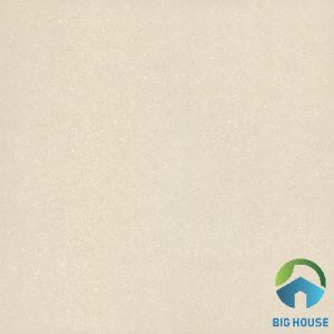 Gạch lát nền Viglacera 60x60 TS-615