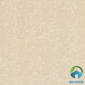 Gạch lát nền Viglacera 60x60 TS2-612