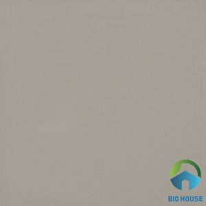 Gạch lát nền Viglacera 60x60 TS6-603