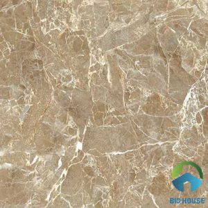 Gạch lát nền Viglacera 60x60 UB-6601