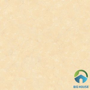 Gạch lát nền Viglacera 60x60 UB-6604