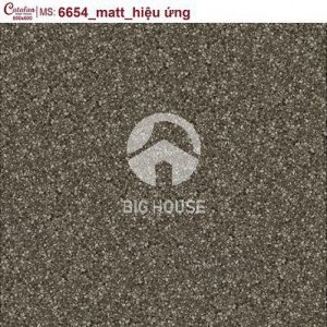 Gạch lát nền Catalan 60x60 6654