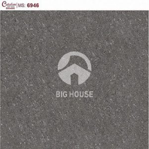 Gạch lát nền Catalan 60x60 6946