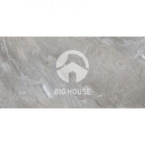 Gạch lát nền Royal 60x120 612420028