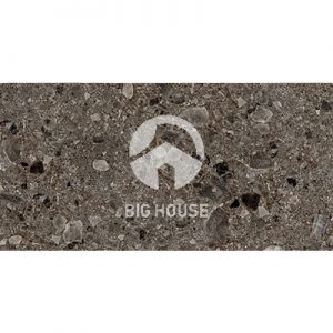 Gạch lát nền Royal 60x120 612420034