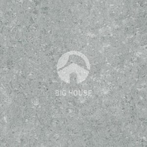 Gạch lát nền Taicera 60x60 P67328N