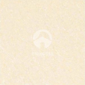 Gạch lát nền Taicera 60x60 P67703