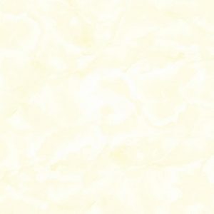 Gạch lát nền Tasa 50x50 5203