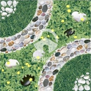 Gạch lát nền Tasa 50x50 5806