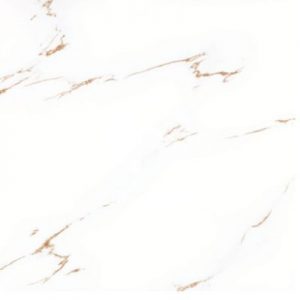 Gạch lát nền TTC 60x60 PN66019