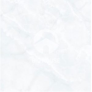 Gạch lát nền TTC 60x60 PN66033