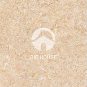 Gạch lát nền TTC 60x60 PN66034