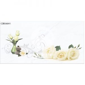 Gạch ốp tường TTC 30x60 CDB36041