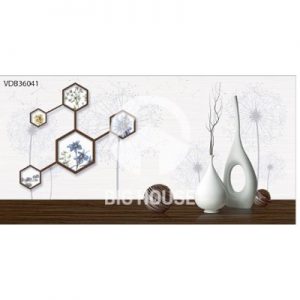Gạch ốp tường TTC 30x60 VDB36041