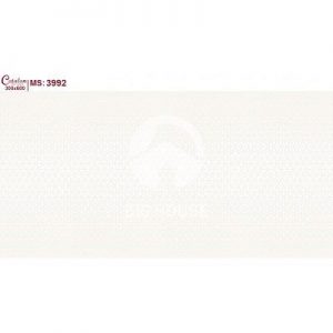 Gạch ốp tường Catalan 30x60 3992