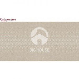 Gạch ốp tường Catalan 30x60 3993