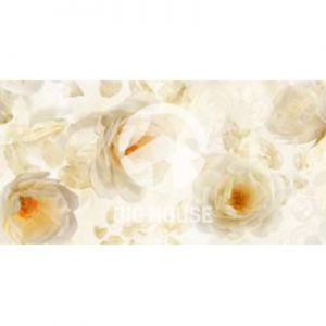 Gạch ốp tường Hoàn Mỹ 40×80 18021