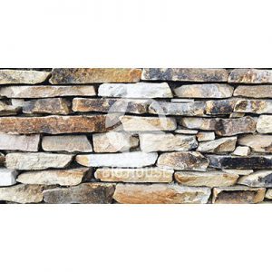 Gạch ốp tường Royal 15x30 153ML009