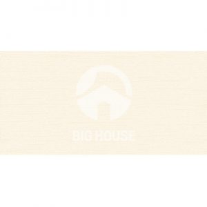 Gạch ốp tường Tasa 30x60 3662