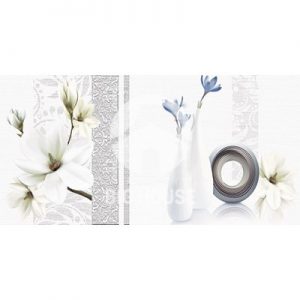 Gạch ốp tường Tasa 30x60 3665
