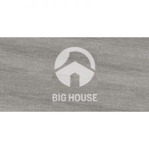Gạch ốp tường Tasa 30x60 3714