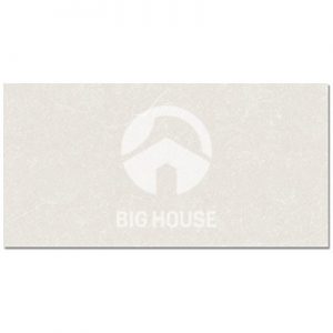 Gạch ốp tường Trung Đô 30x60-GW8.4261
