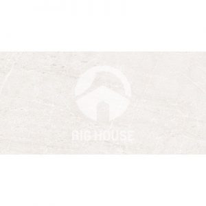 Gạch ốp tường Vitto 30x60 2541