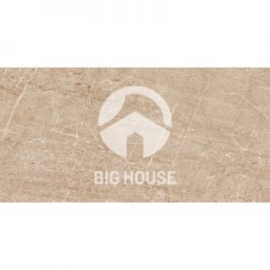 gạch ốp tường vitto 30x60 2543