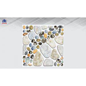 Gạch lát nền CMC 30x30 DGS 3022