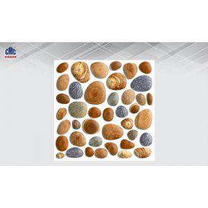 Gạch lát nền CMC 30x30 DGS 3031