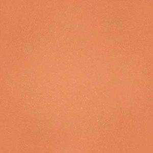 Gạch lát nền Viglacera 30x30 L300DL