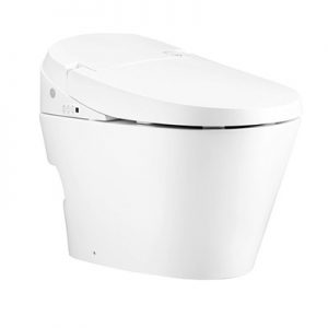 Bồn cầu 1 khối Cotto C10247