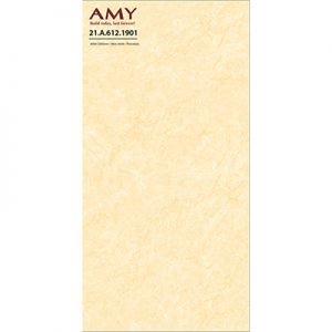 Gạch  Á mỹ 60x120 21.A.612.1901