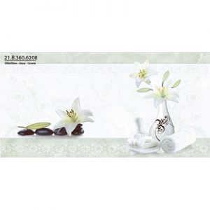 Gạch ốp tường Á Mỹ 30x60 21.B.360.6208