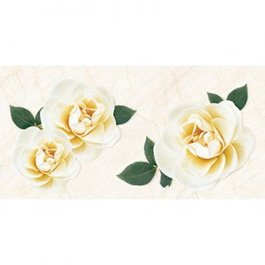 Gạch ốp tường Tasa 40x80 4908