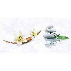 Gạch ốp tường Tasa 40x80 4910