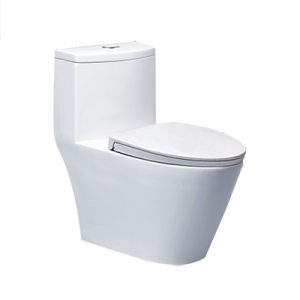 Bồn cầu một khối Caesar CD1363