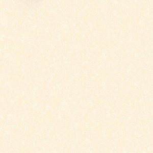 Gạch lát nền Hoàn Mỹ 60x60 8302