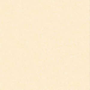 Gạch lát nền Hoàn Mỹ 80x80 33001
