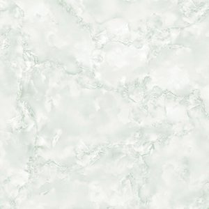 Gạch lát nền Vitto 60x60 5443