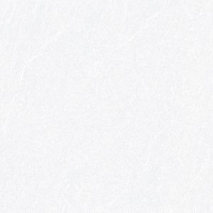 Gạch lát nền Vitto 60x60 5619