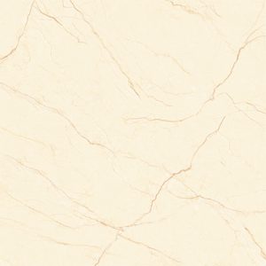 Gạch lát nền Vitto 60x60 5663