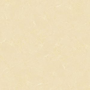 Gạch lát nền Vitto 80x80 5824