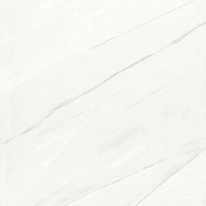 Gạch lát nền Hoàn Mỹ 60x60 6081